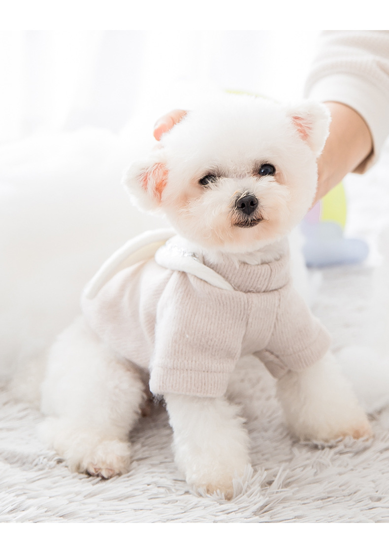 wool dog clothes07.jpg